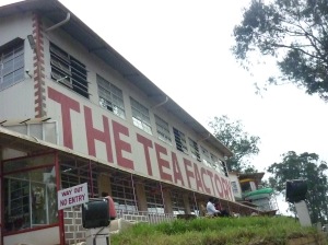 The Tea Factory, Ooty